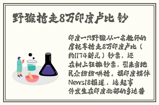 魅姬国际